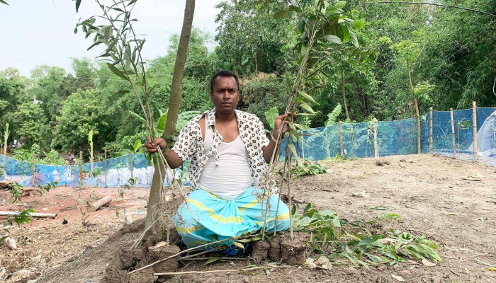উল্লাপাড়ায় গাছ লাগানোকে কেন্দ্র করে ভাই বোনের সংঘর্ষ, উভয়ের বিরুদ্ধে মারধরের অভিযোগ
