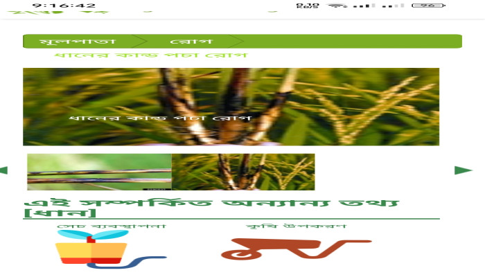 https://bijoybd71.com/desktop-logo-image/171107826520240309_020931.png