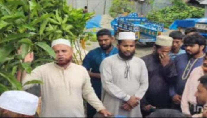 উল্লাপাড়ায় জামায়াতের উদ্যোগে গাছ বিতরণ