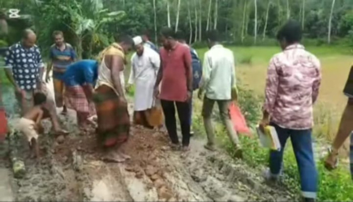 জামাতের ইসলামের পক্ষ থেকে মধুপুর রাস্তা মেরামত
