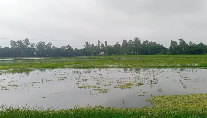https://bijoybd71.com/desktop-logo-image/171107826520240309_020931.png