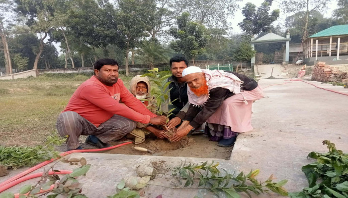 সলঙ্গার চরবেড়া কবরস্থানের সৌন্দর্য বাড়াতে ফুলের চারা রোপণ