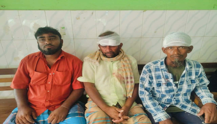 নাটোরের সিংড়ায় জমি নিয়ে দুই পক্ষের সংঘর্ষ: নারীসহ আহত  ৩০