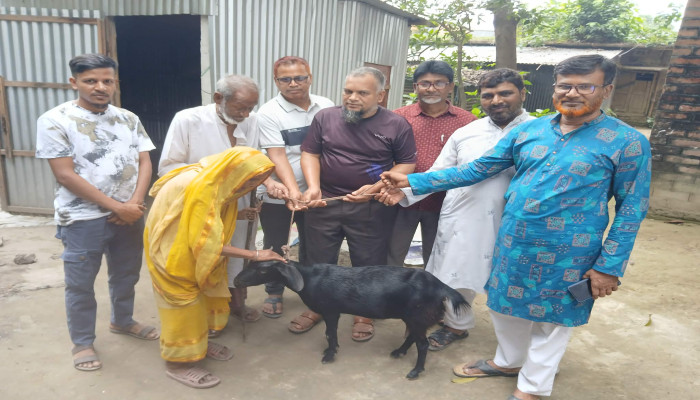 প্রিয় সলঙ্গার গল্প" মানবিক সংগঠনের ছাগল উপহার  *** অসহায় দম্পতির মুখে হাসি ***