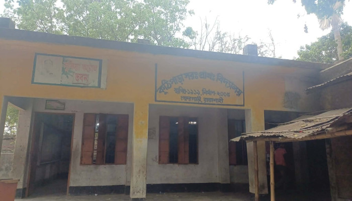 শিক্ষার আলো নাকি মৃত্যুর ভয়?গোদাগাড়ীর শতবর্ষী কুঠিপাড়া বিদ্যালয়ে মাথার ওপর মরা গাছ, ফুটো টিনের চালে বৃষ্টির পানি ঝুঁকিপূর্ণ ভবনেই চলছে পাঠদান