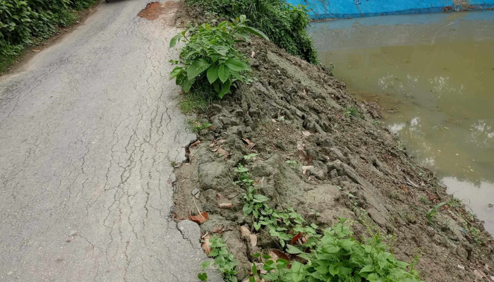 উল্লাপাড়ায় সরকারি রাস্তাকে পুকুরের পাড় হিসেবে খনন, ভোগান্তিতে পড়বে কয়েক গ্রামের পথচারী