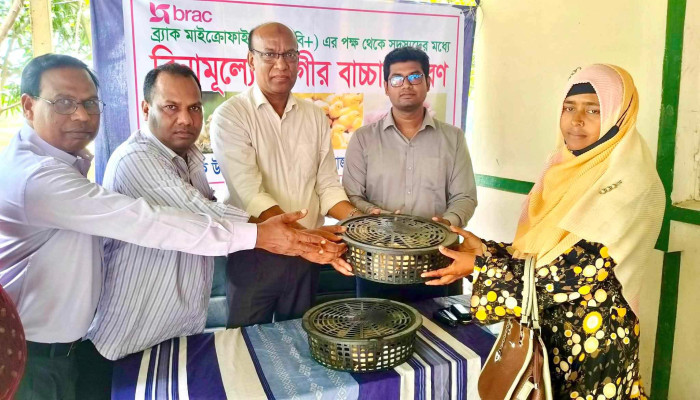 উল্লাপাড়ায় ব্র্যাকের উদ্যোগে বিনামূল্যে ৬০০ সোনালী মুরগির বাচ্চা বিতরণ