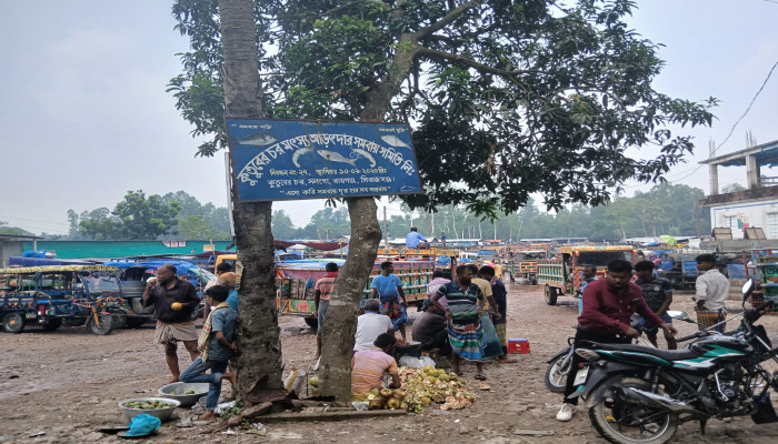 সলঙ্গার কুতুবের চর মৎস্য আড়ৎ খাস ইজারাভুক্তি না হওয়ায় সরকার লক্ষ লক্ষ টাকা রাজস্ব আয় থেকে বঞ্চিত