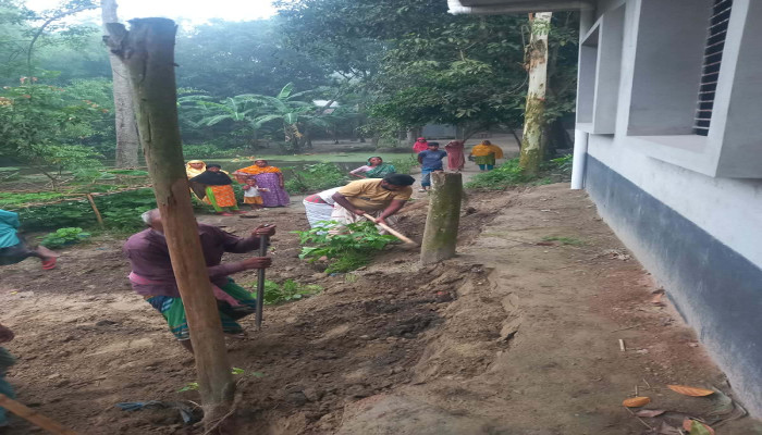উল্লাপাড়ায় বসতবাড়ির ভিটা কেটে ক্ষতি ও হামলার অভিযোগ