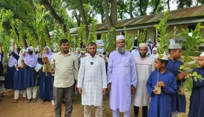 উল্লাপাড়ায় ৪ শতাধিক মাদরাসার ছাত্র-ছাত্রীদের মাঝে বিনামূল্যে বৃক্ষের চারা বিতরণ