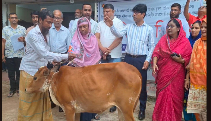 জয়পুরহাটে ৬ শতাধিক সুবিধাবঞ্চিত নারী ও প্রতিবন্ধীর মাঝে গরু বিতরণ
