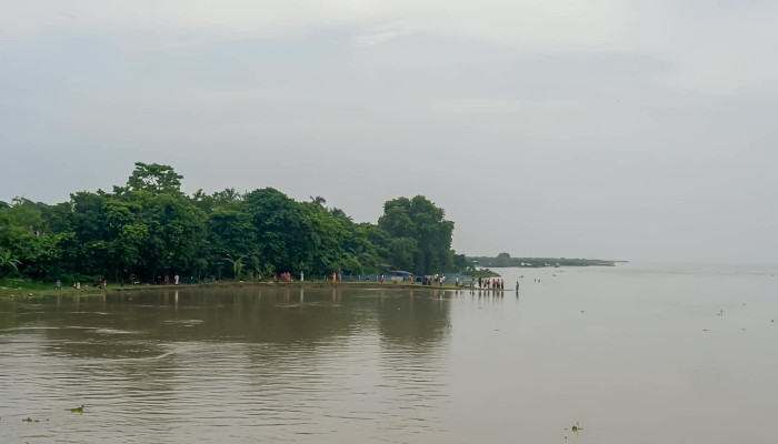 পদ্মার ভয়াবহ ভাঙনে গোদাগাড়ীর কুঠিপাড়ায় আতঙ্ক টেকসই বাঁধের দাবিতে ক্ষোভ