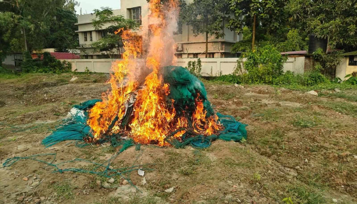 উল্লাপাড়ায় চায়না দোয়ারি জালের কারখানায় অভিযান, জাল ও তৈরির সরঞ্জাম জব্দ