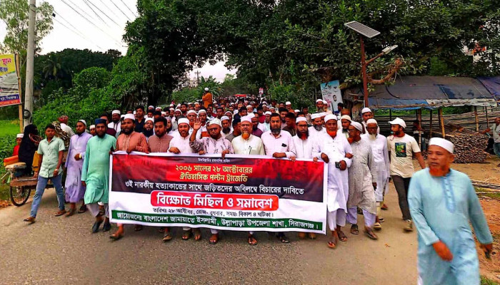 উল্লাপাড়ায় ২৮ অক্টোবরের হত্যাকাণ্ডের বিচারের দাবিতে  বিক্ষোভ